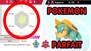 COMMENT FAIRE UN POKEMON PARFAIT DANS POKEMON ÉPÉE & BOUCLIER