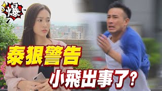 《多情大爆爆》多情城市 EP187 泰狠警告 小飛出事了？