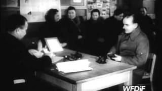 PKF 1949 18