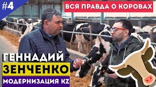 Геннадий Зенченко. Вся правда о коровах / Модернизация KZ