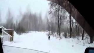 ОТСТРЕЛ СОБАК НАЕМНИКАМИ ИЗ МАШИН В СПБ!!