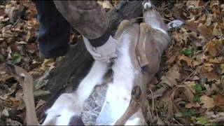 FIELD DRESSING LARGE GAME - Deer
