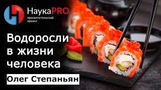 Морские водоросли в жизни человека | Лекции по биологии – биолог Олег Степаньян | Научпоп