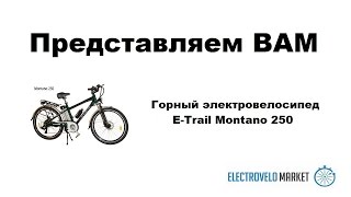 Горный электровелосипед E-Trail Montano 250