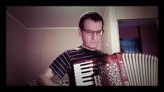 Туман (группа ''Сектор Газа'', аккордеон/accordion)