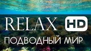 Релакс подводный мир океана HD 1080p (спокойная живая музыка)