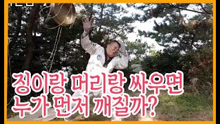 타이슨 VS 징 , 누가 먼저 깨질까?
