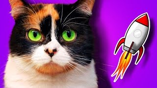 КУКИ ПОБЫВАЛ В КОСМОСЕ, КАТЯ КЛЭП В СЕРИАЛЕ