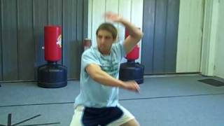 Choy Lay Fut Fundamental Training