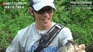 真夏の霞ケ浦水系 ハリーシュリンプ4.0インチ『ひったくりビューン!!』の本気食い連発!?