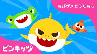 なかよし さんびき | サメのかぞく | ちびザメとうたおう | ピンキッツ童謡