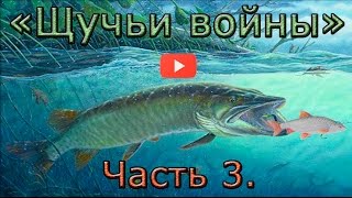 Ловля осенней щуки. "Щучьи войны". Часть 3. "Pike war." Part 3.