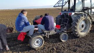 Сажалка для чеснока Garlic Nivris datesva  07.11.2016