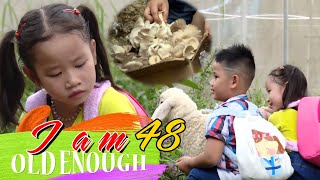 Hai anh em đi hái nấm nhưng lại cuống cuồng vì CHÚ CỪU RẮC RỐI ? | I AM OLD ENOUGH #48