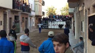 Toros Massamagrell 30-1-2016