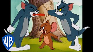 Tom & Jerry in italiano | Proprio come fratelli 