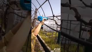 Δετικο μηχάνημα ,tying machine Kingson new
