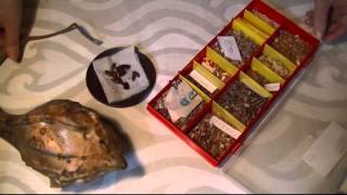 Лагенария. Как посадить лагенарию.
