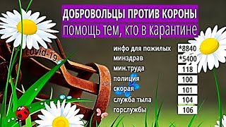 "Добровольцам против короны" срочно нужна помошь