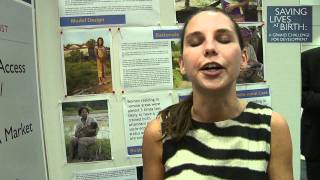 Saving Lives at Birth: A Market Approach for Sustainable Access to Maternal/Newborn Services
