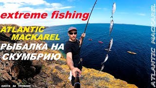 ЛОВЛЯ СКУМБРИИ | EXTREME FISHING | ATLANTIC MACKAREL| 22.07.2018