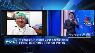 Terapi Plasma Darah Efektif Obati Covid-19? Ini Penjelasan Satgas IDI