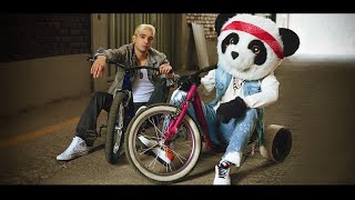 LA CANCIÓN DE NANDO Y PANDA - Yolo Aventuras