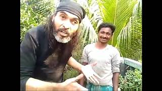 Fuck you government ft. Roddur roy