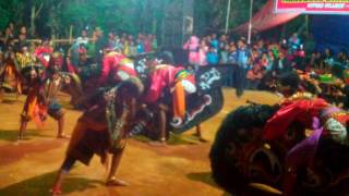 Rampokan celeng MANGGOLO DHARMO MUDHO kiping tulungagung