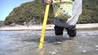 「日本列島 知恵プロジェクト」 高知県 甲浦『ハマグリ漁』