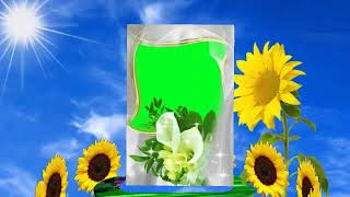 Green background