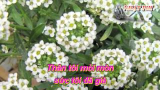 lk dung buoc - tien kaeaoke nhatphi