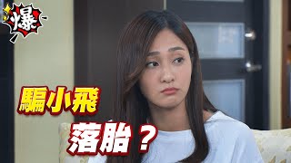 《多情大爆爆》多情城市 EP233 騙小飛 落胎？