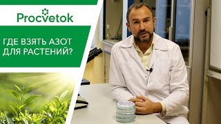 Это ценное удобрение для растений лежит у вас прямо под ногами!