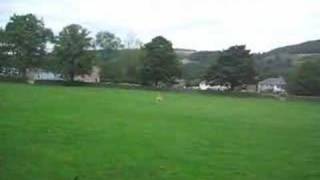 Evo Launch technique and slowflying