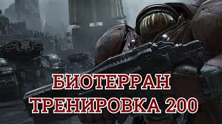 Тренировка 200 на биотерране=гайд для выхода в алмаз