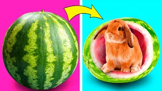 Useful PET Hacks, Gadgets And Crafts For Loved Ones