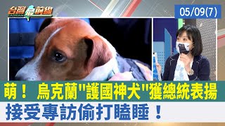 萌！ 烏克蘭"護國神犬"獲總統表揚 接受專訪偷打瞌睡！【台灣最前線 重點摘要】2022.05.09(7)