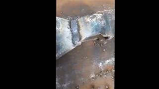 Топор колун своими руками Видео №2