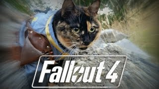 Fallout 4: Easter Eggs - Cat Cabin + DOZENS of Hidden Cats