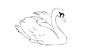 How to Draw a Swan / Как нарисовать лебедя