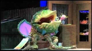 "Feed Me!" from Little Shop of Horrors (Seneca Valley, 2011)