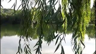 Прогулки на природу Рыбалка р Стугна 26 09 16