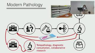 Introduction to Digital Pathology and AI Algorithms