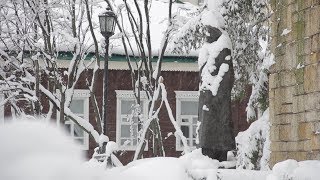 Новости. Липецк. 22 ноября 2017 года