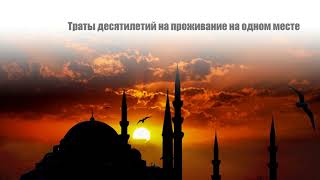 Где можно получить гражданство без проблем: Турция