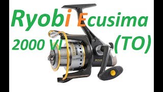 Ryobi ECUSIMA 2000VI (Полная разборка и ТО)