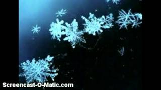 Интересные факты о снеге