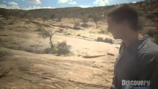 Bear Grylls Man vs Wild | Season 1 | Episode 7: African Savannah