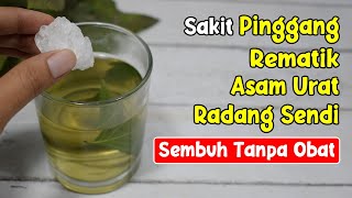 LEBIH DARI OBAT DOKTER! SAKIT PINGGANG, REMATIK, ASAM URAT, RADANG SENDI SEMBUH SEKETIKA| SEHAT TUBE